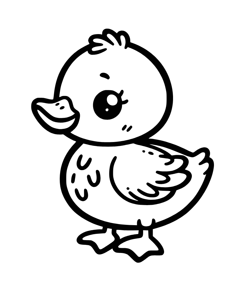 Lil Bermy Animal Coloring Book