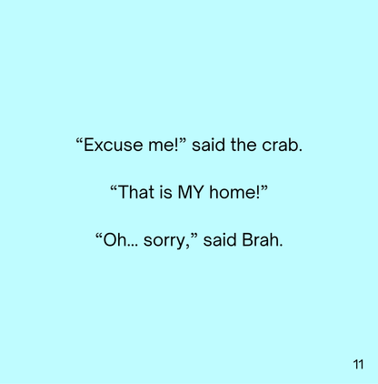 The Adventures of Brah - Brah and the Beach Day Adventure